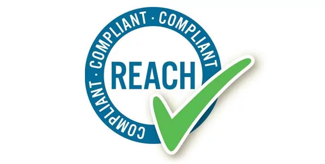 LOGO REACH